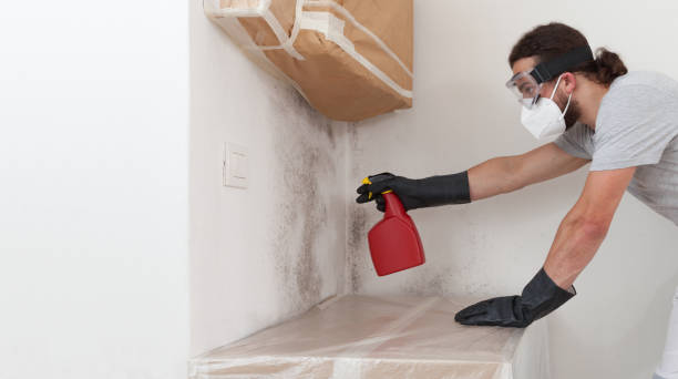 Professional Mold Testing technician working in Harrison, NY