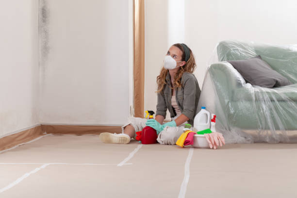 Reliable Mold Testing contractor in Harrison, NY by WQB Mold Removal